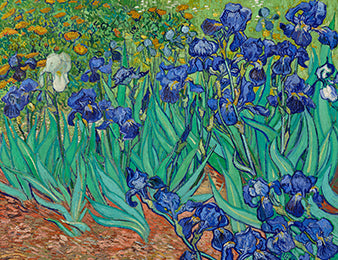 Van Gogh Jigsaw Puzzles: Starry Night, Irises & More