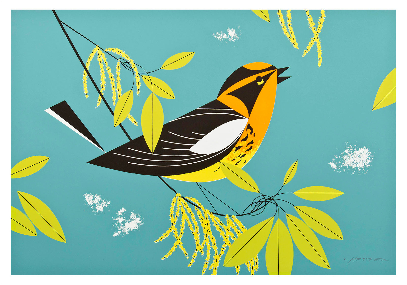 Charley Harper: Blackburnian Warbler Small Boxed Cards_Interior_1