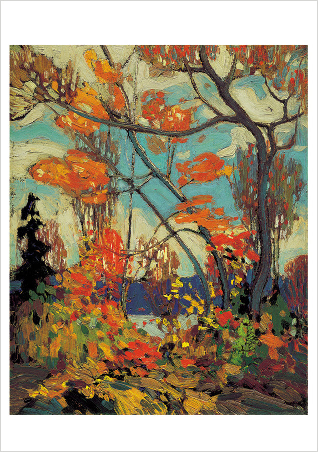 Tom Thomson Boxed Notecard Assortment_Interior_1