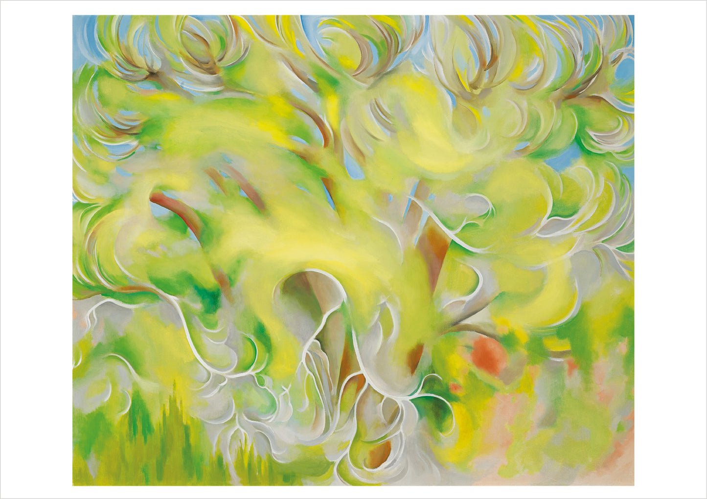 Georgia O’Keeffe: Trees Boxed Notecard Assortment_Interior_4