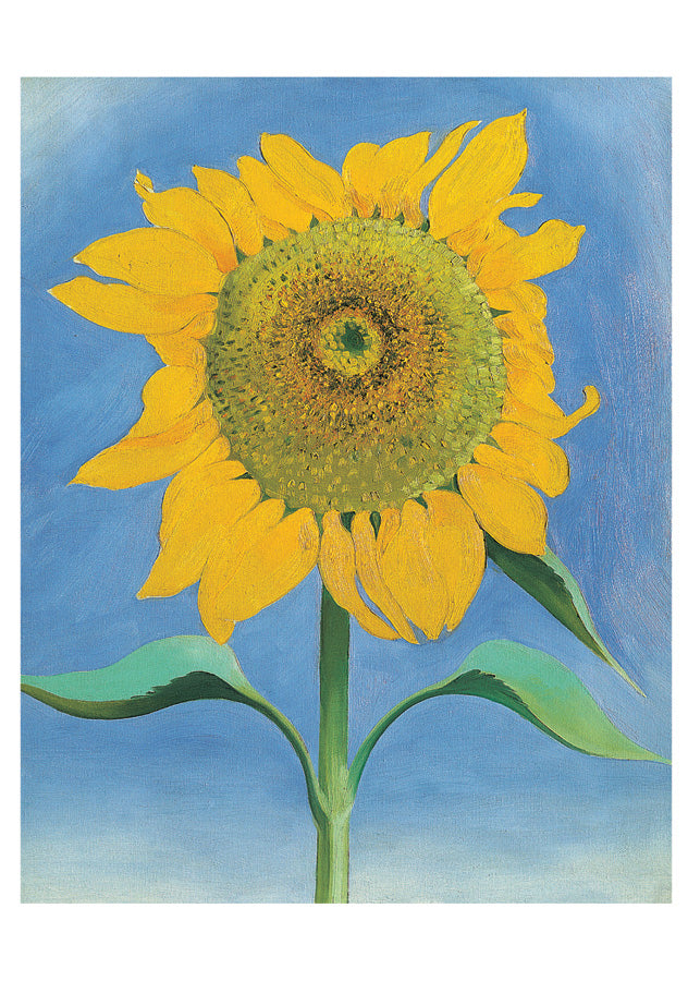 Georgia O'Keeffe: Sunflowers Notecard Folio_Interior_2