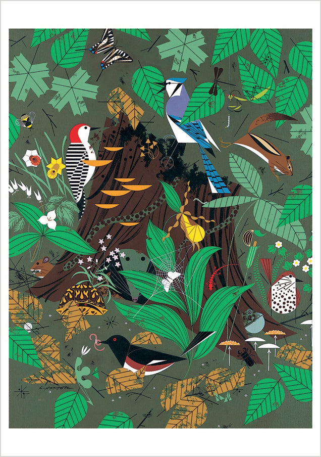 Charley Harper: Woodland Wonders Notecard_Front_Flat