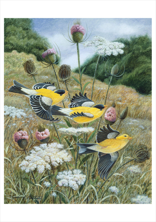 John A. Ruthven: Goldfinch Notecard_Front_Flat