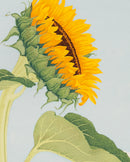 Kate Krasin: Sunflower Bookmark_Zoom