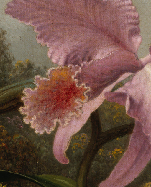 Martin Johnson Heade: Orchid and Hummingbird Bookmark_Zoom
