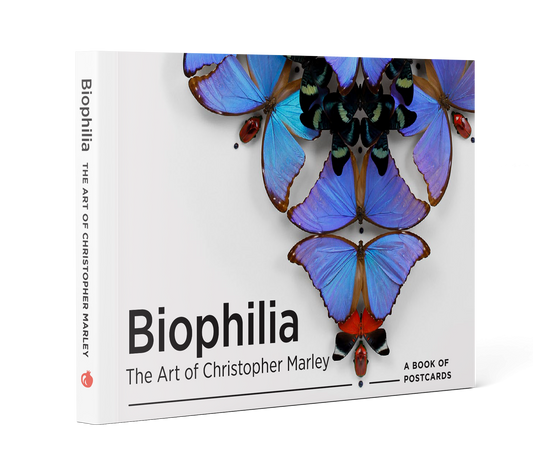 Biophilia: The Art of Christopher Marley Book of Postcards_Primary