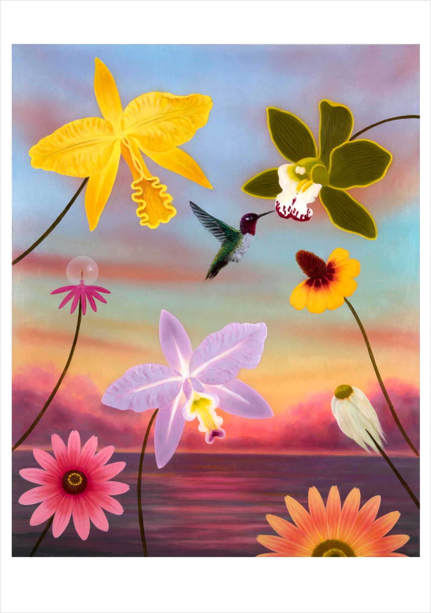 L. C. Armstrong: Hummingbirds Boxed Notecard Assortment_Interior_4