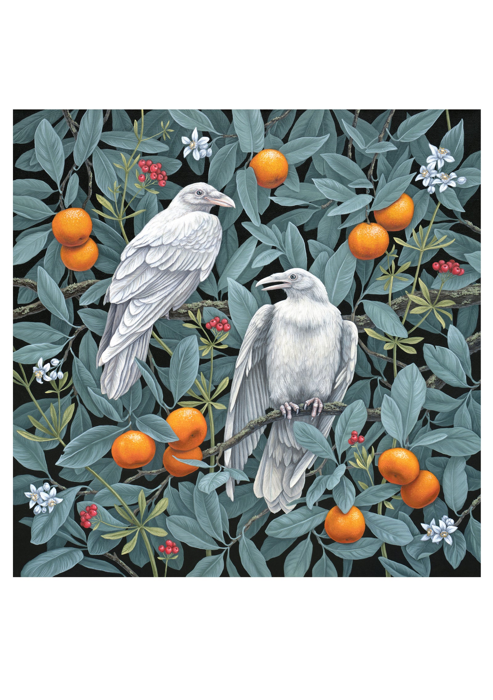 Vasilisa Romanenko: Birds of a Feather Boxed Notecard Assortment_Interior_2