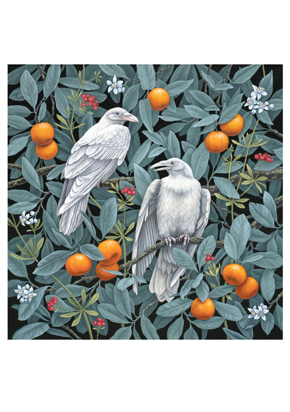 Vasilisa Romanenko: Birds of a Feather Boxed Notecard Assortment_Interior_2