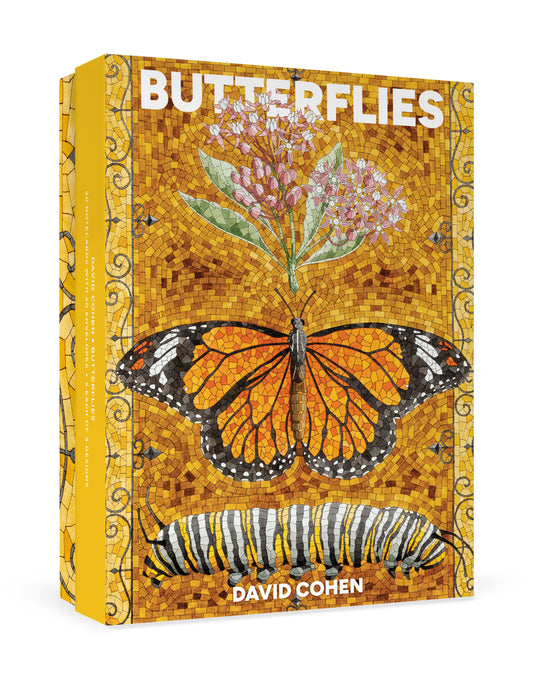 David Cohen: Butterflies Boxed Notecard Assortment_Front_3D