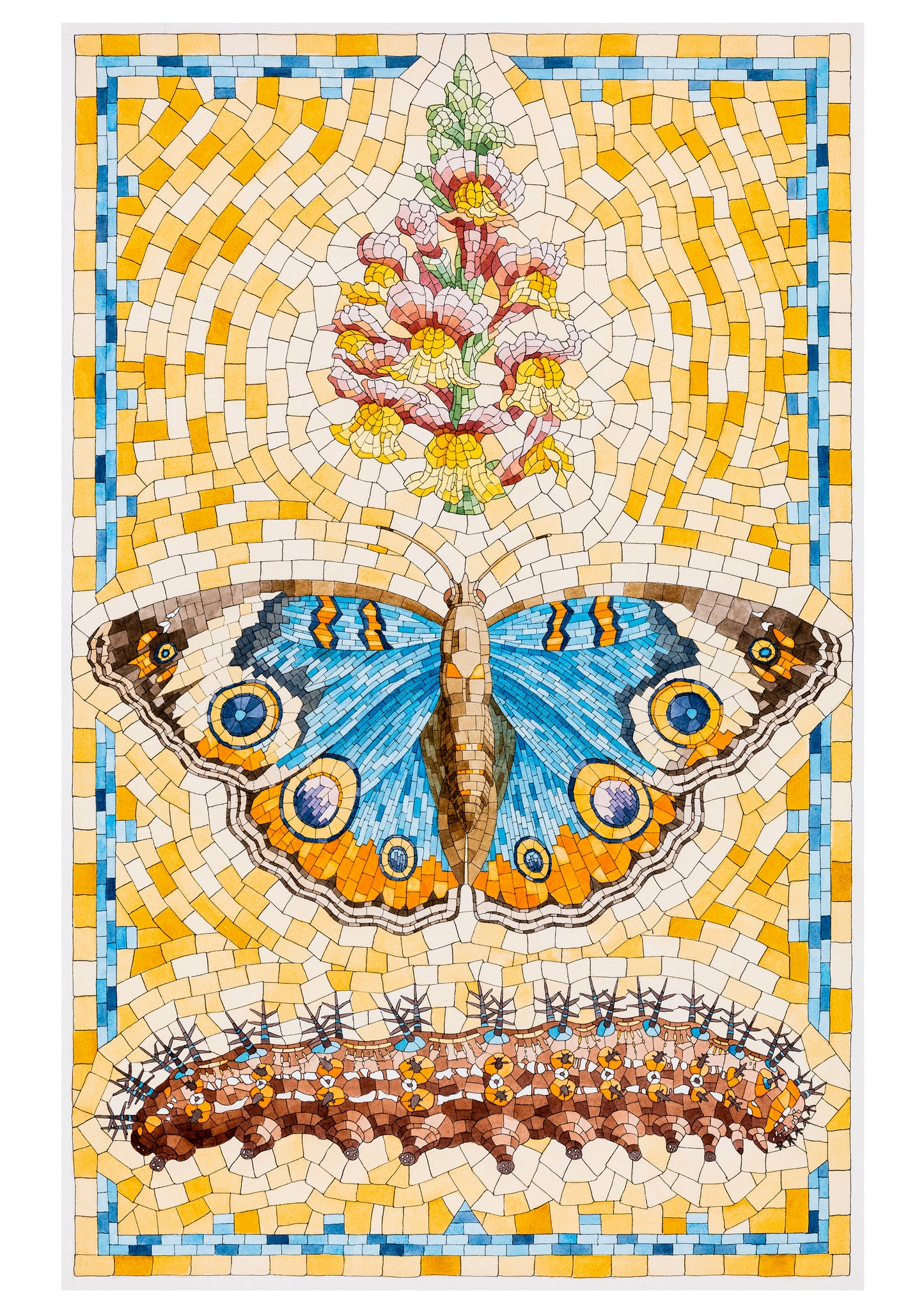 David Cohen: Butterflies Boxed Notecard Assortment_Interior_2