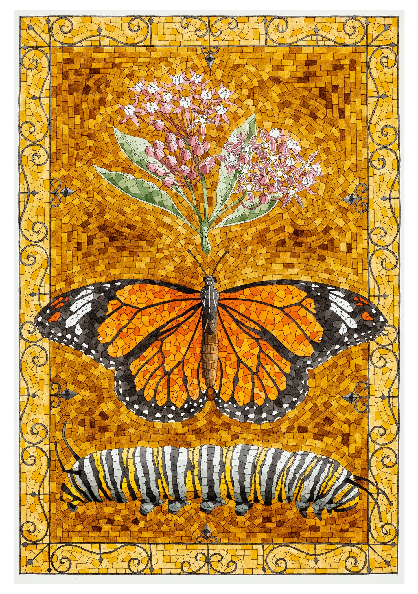 David Cohen: Butterflies Boxed Notecard Assortment_Interior_3