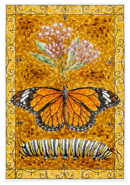 David Cohen: Butterflies Boxed Notecard Assortment_Interior_3