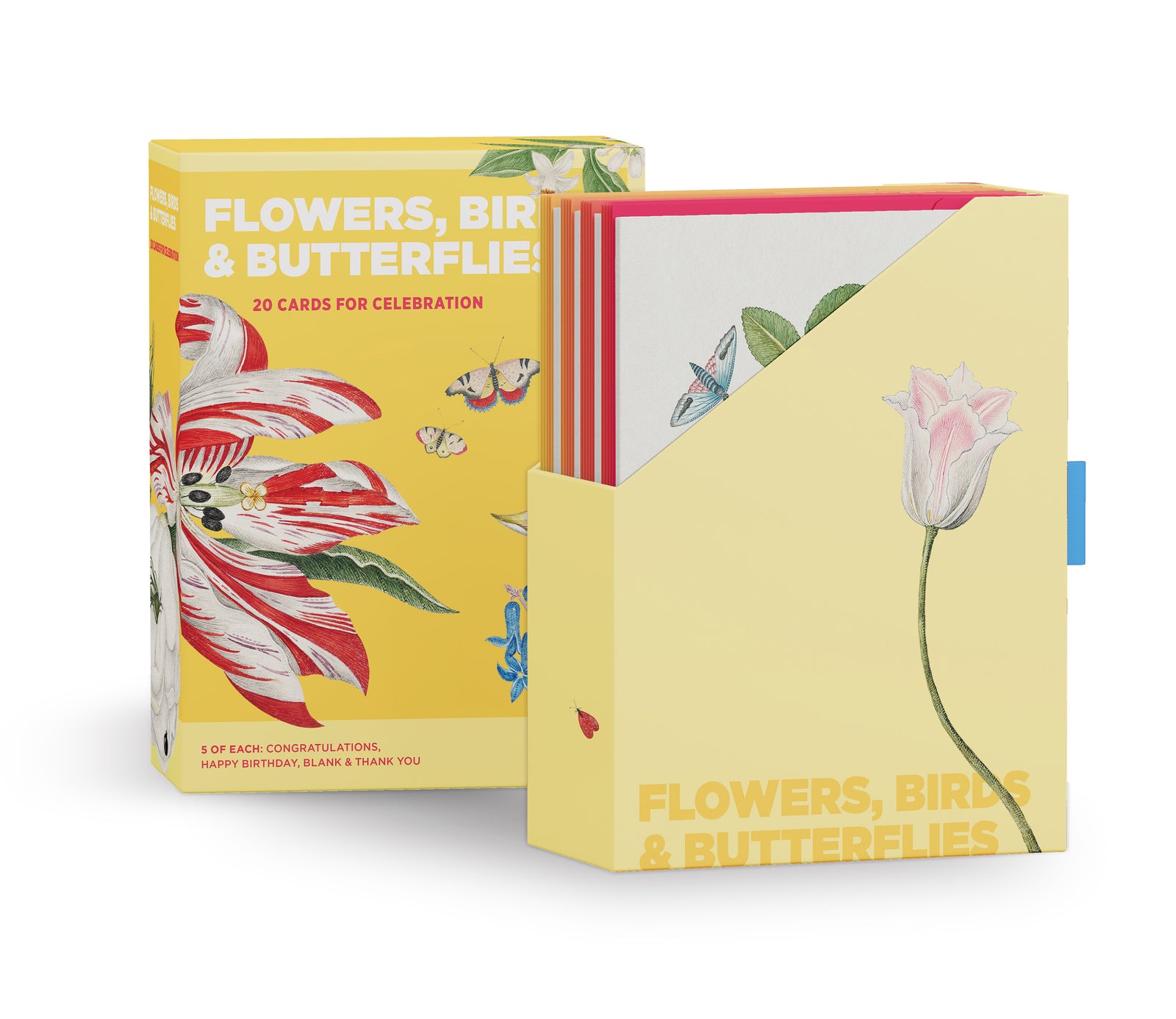 Flowers, Birds, & Butterflies Celebrations Boxed Notecards_Zoom