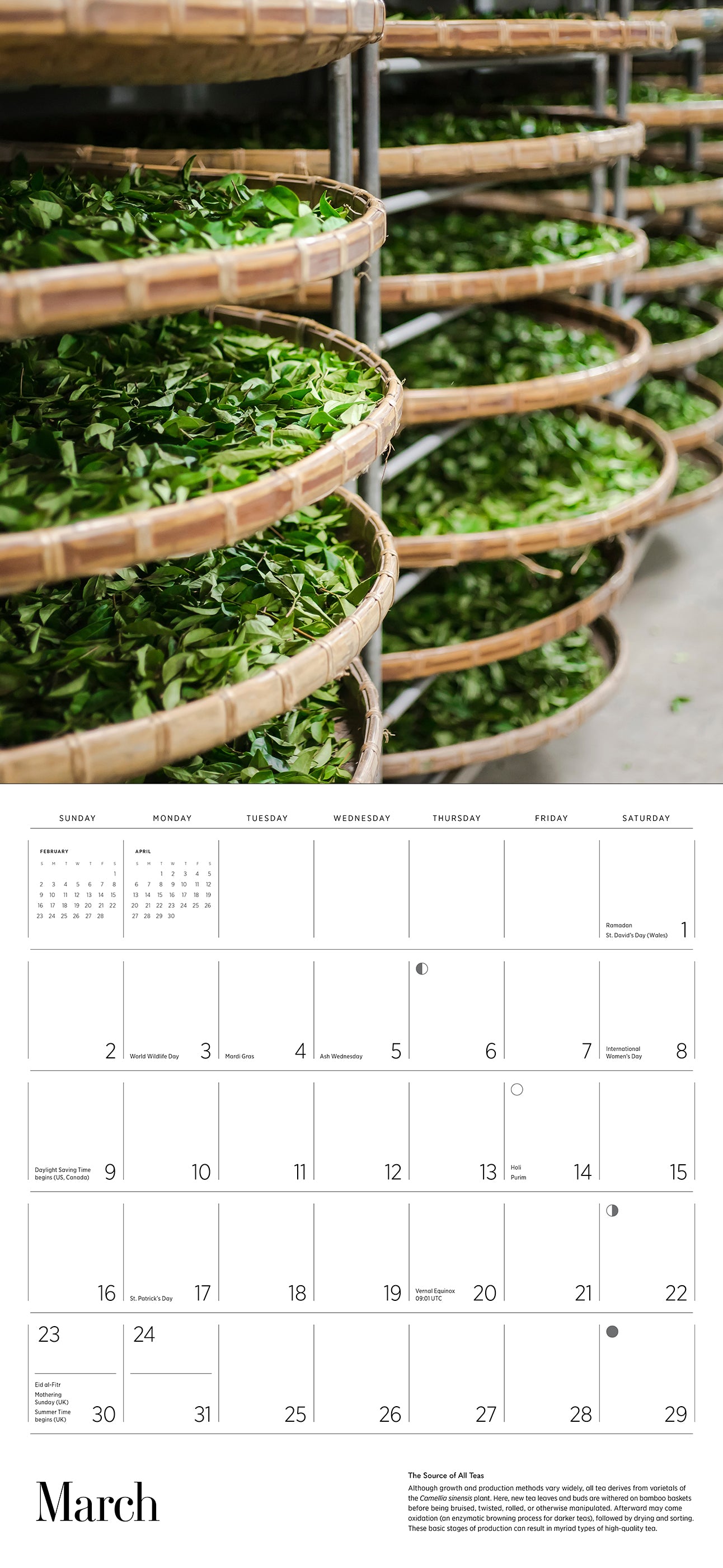 Tea 2025 Wall Calendar_Interior_1