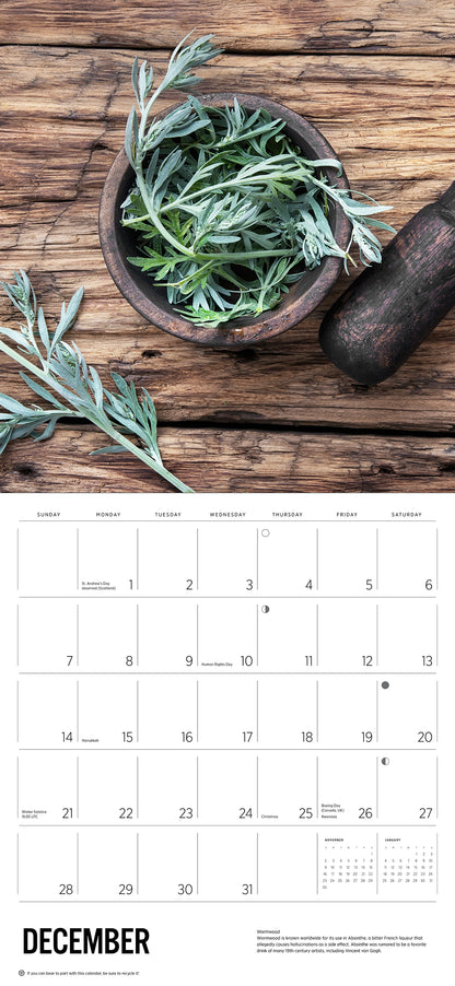 Herbs 2025 Wall Calendar_Interior_1