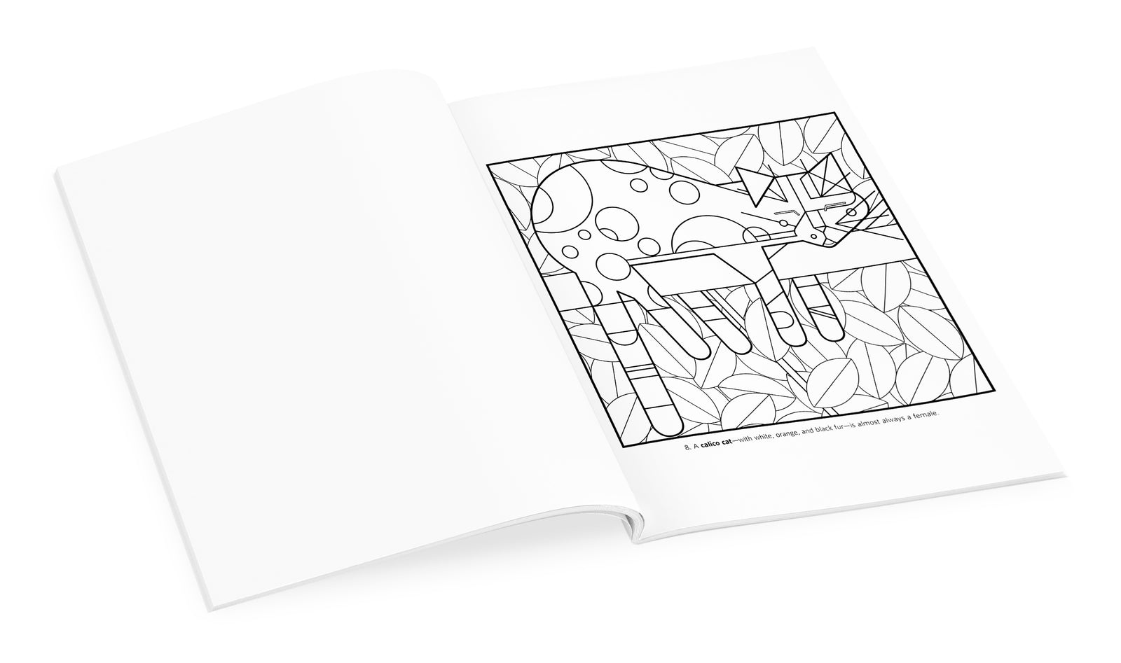 Charley Harper: Volume 1 Coloring Book_Interior_1