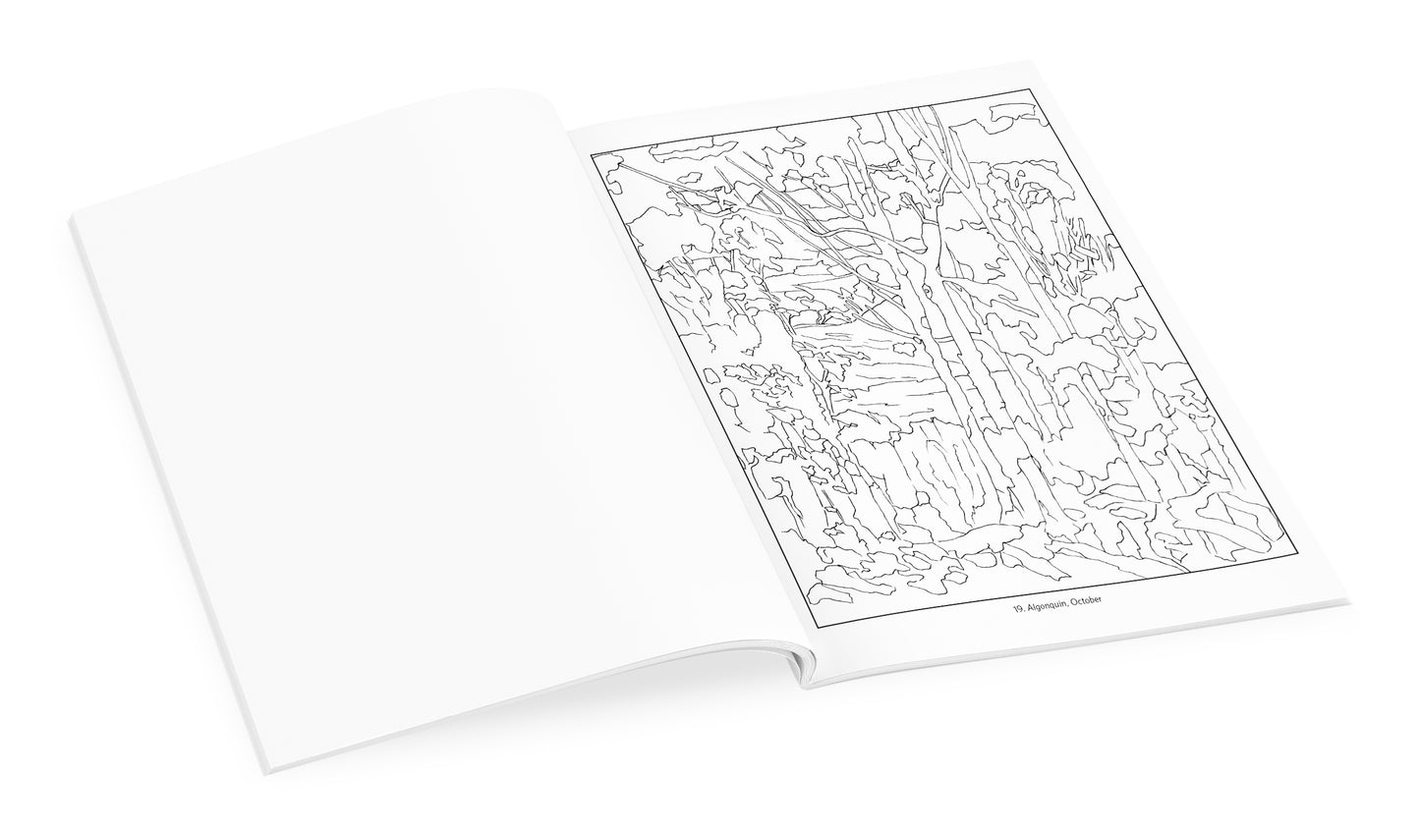 Tom Thomson Coloring Book_Interior_1