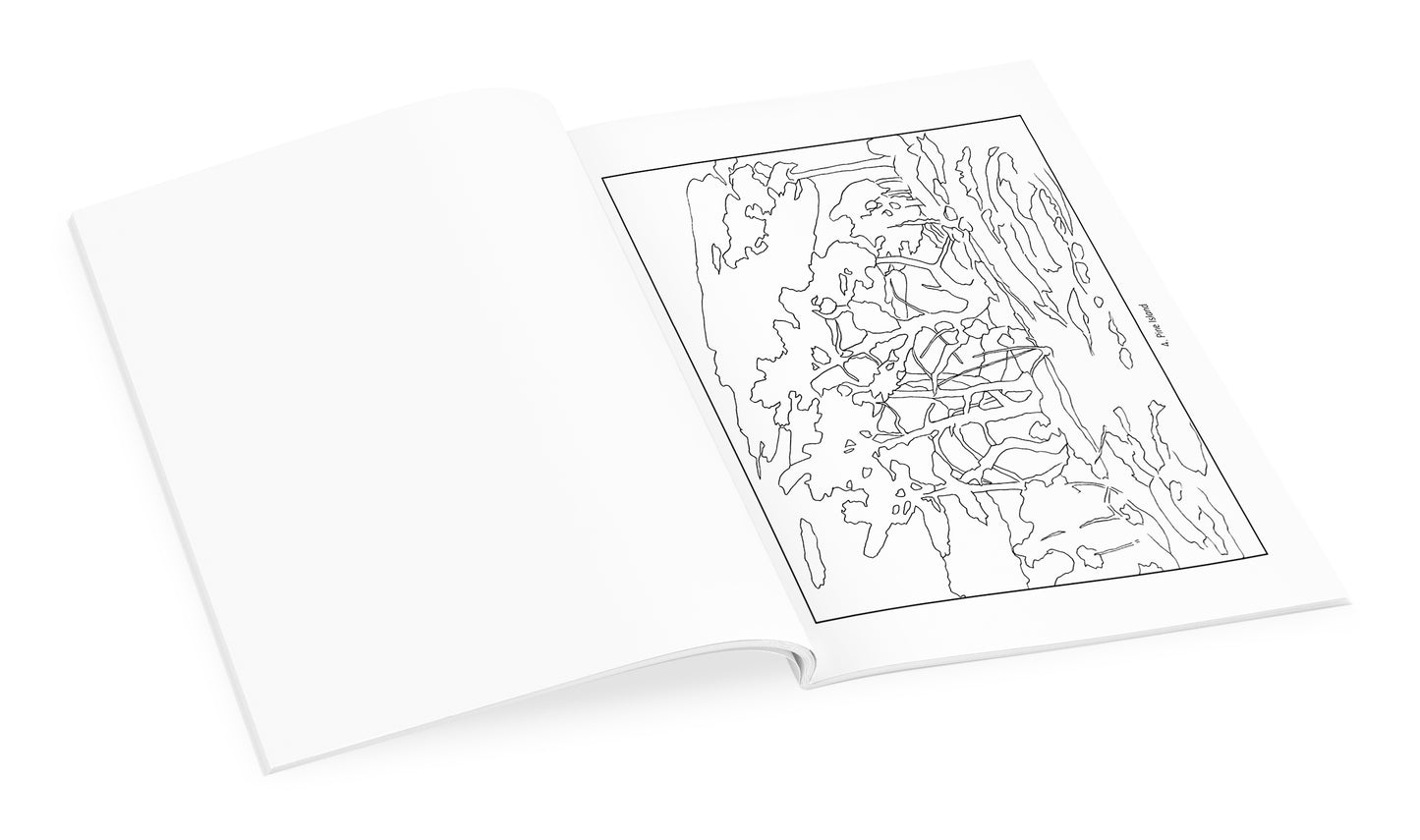 Tom Thomson Coloring Book_Interior_2