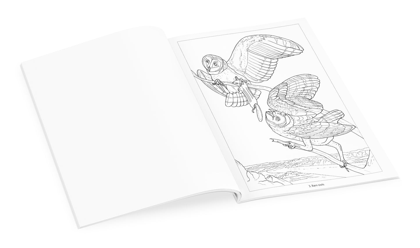 Owls Coloring Book_Interior_1