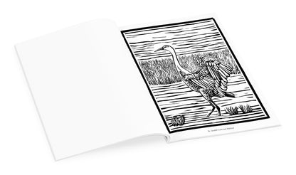 Molly Hashimoto: Birds & Other Wildlife Coloring Book_Interior_3