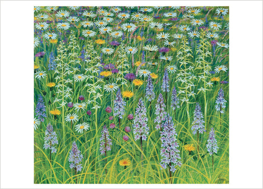 Rosalind Wise: Pentwyn Meadow Orchids Birthday Card_Front_Flat