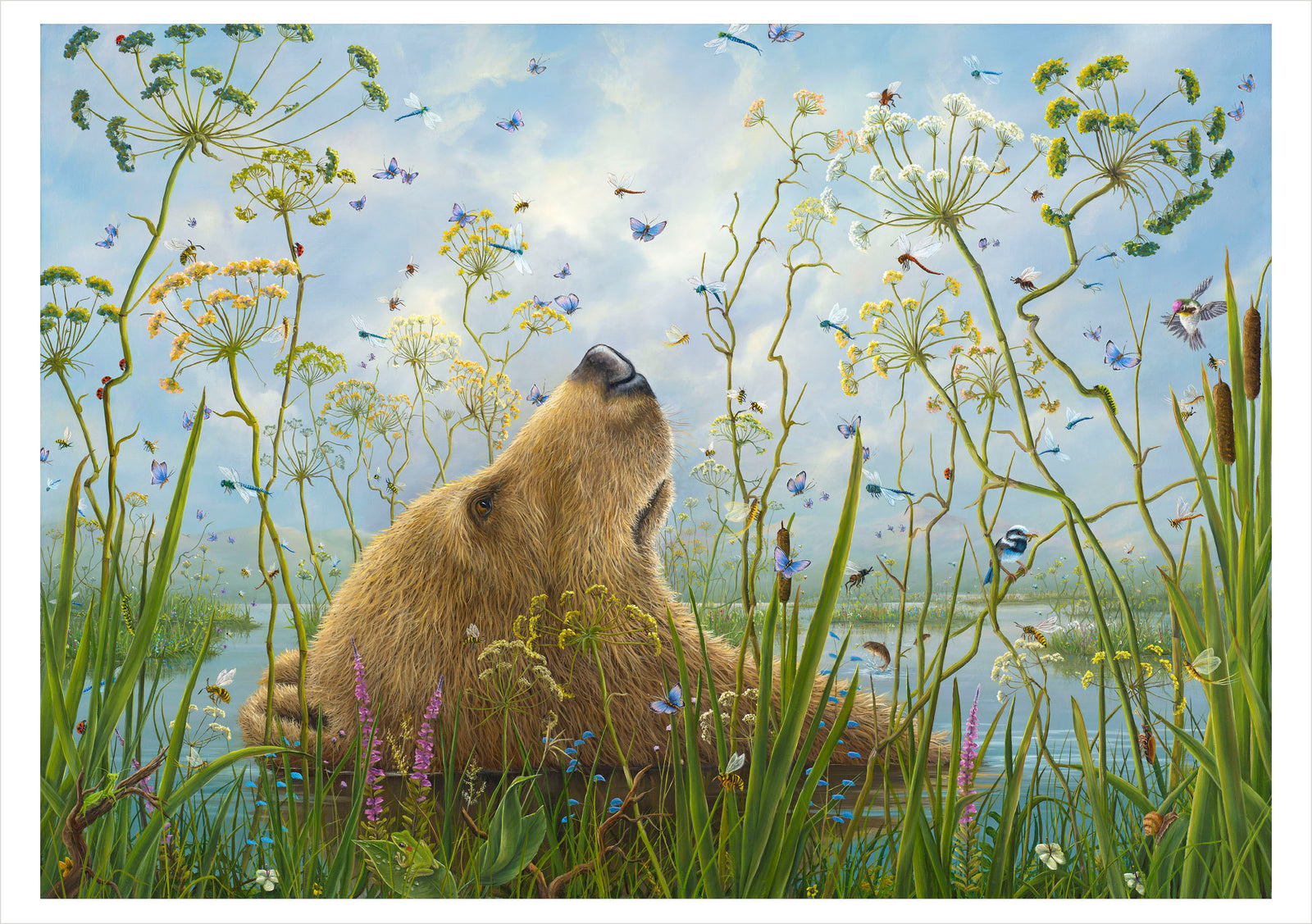 Robert Bissell: The Whole World Birthday Card_Front_Flat