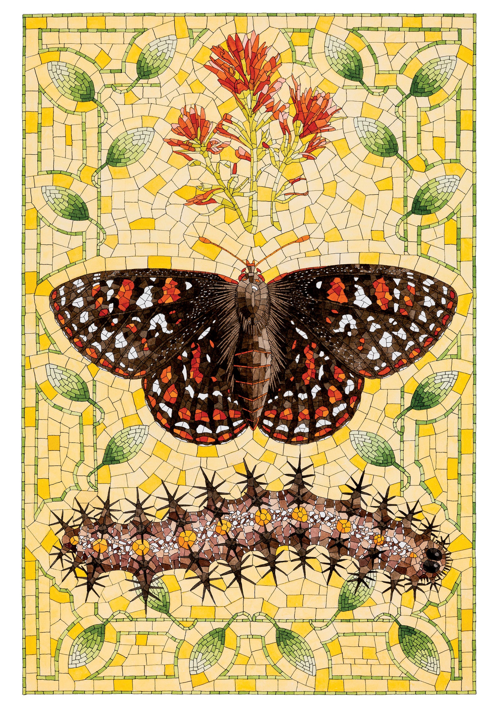 David Cohen: Taylor’s Checkerspot Birthday Card_Front_Flat