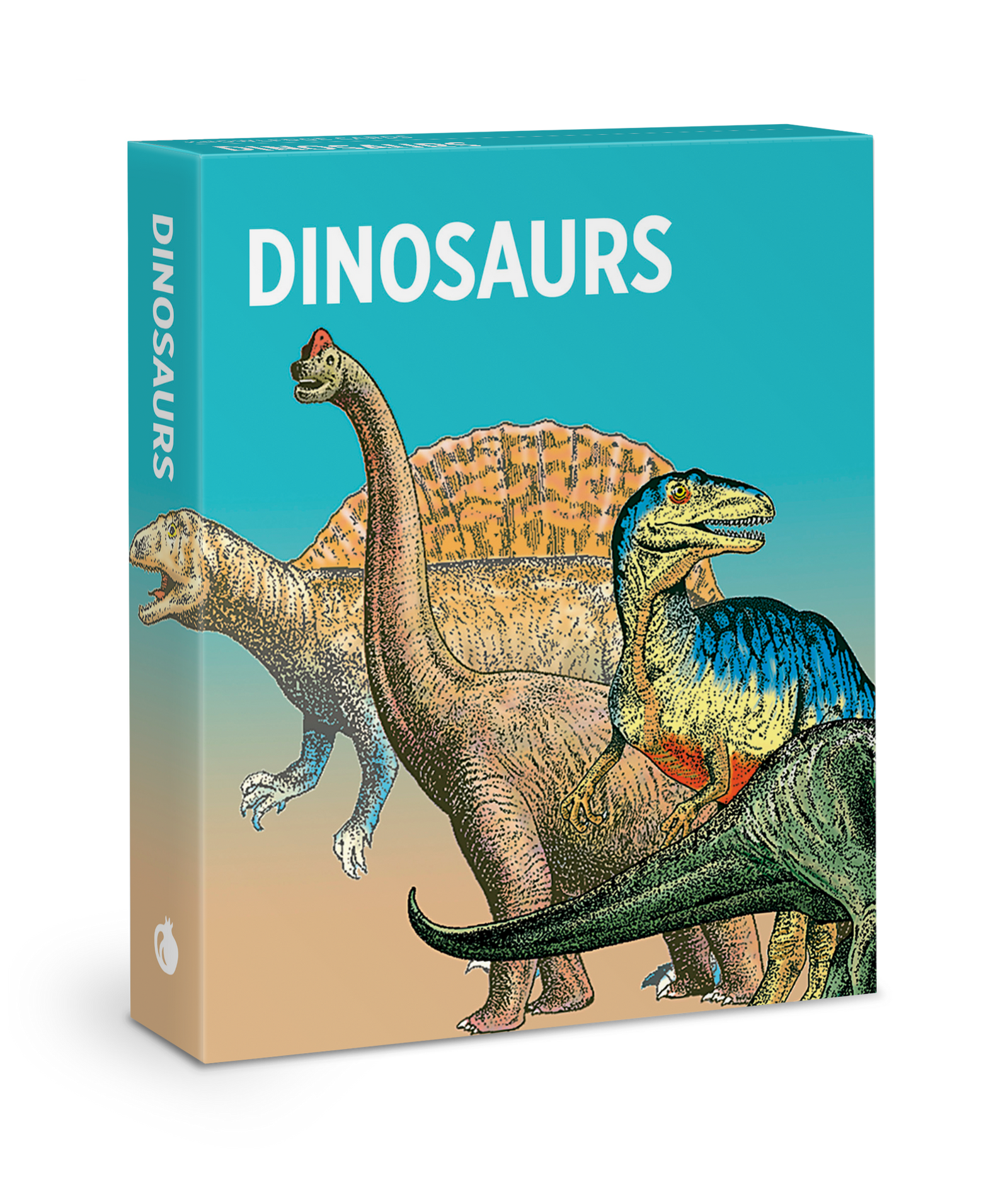 Dinosaurs Knowledge Cards_Primary