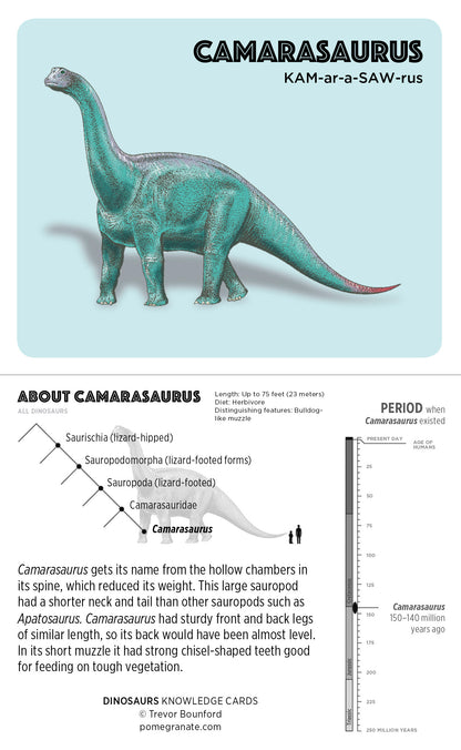 Dinosaurs Knowledge Cards_Interior_2