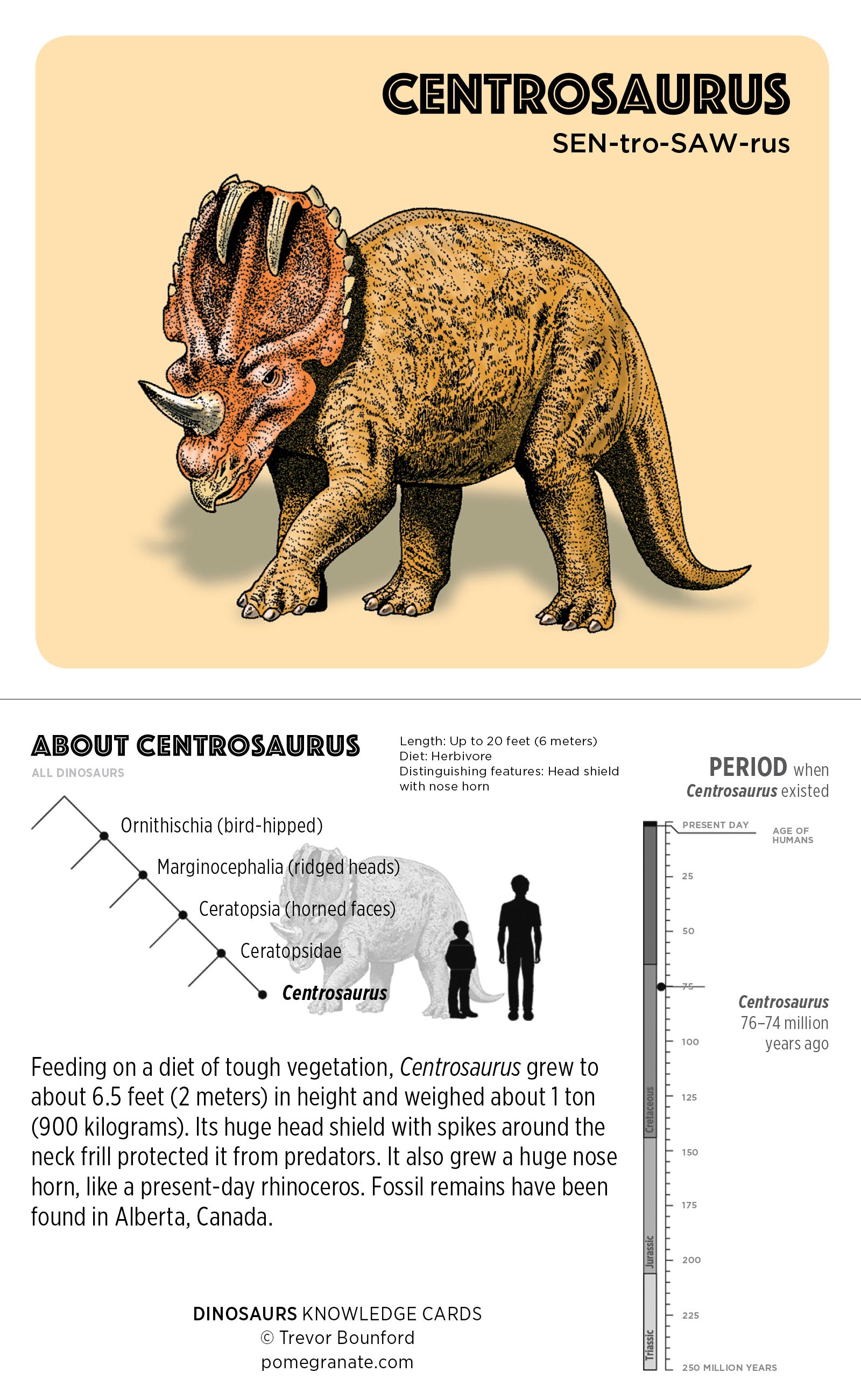 Dinosaurs Knowledge Cards_Interior_3