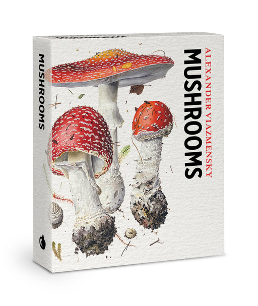 Mushrooms: Alexander Viazmensky Knowledge Cards_Front_3D