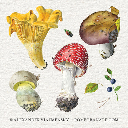 Mushrooms: Alexander Viazmensky Memory Game_Interior_2