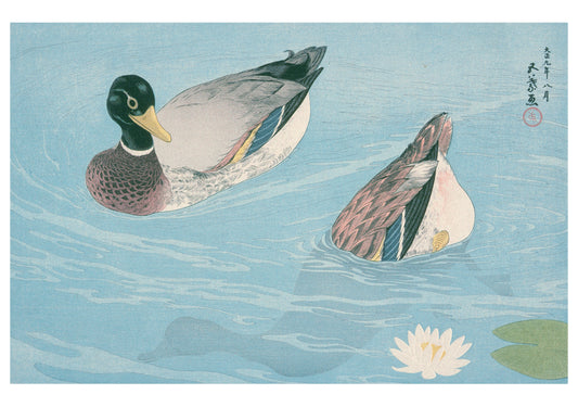 Hashiguchi Goyō: Ducks Notecard_Front_Flat