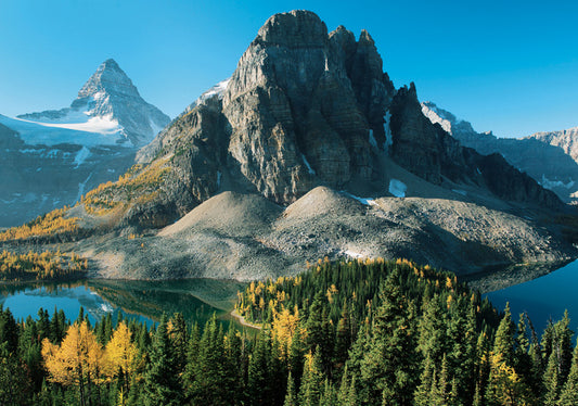 Larch Trees in Autumn below Mount Assiniboine Notecard_Front_Flat