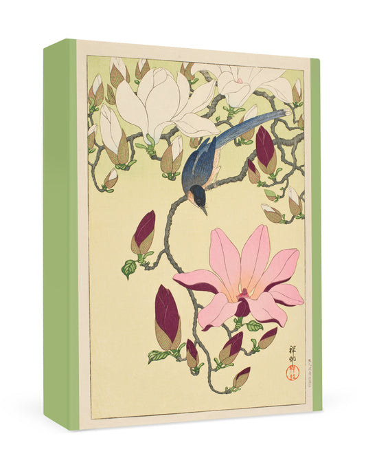 Ohara Shōson: Magnolia and Magpie Small Boxed Cards_Front_3D