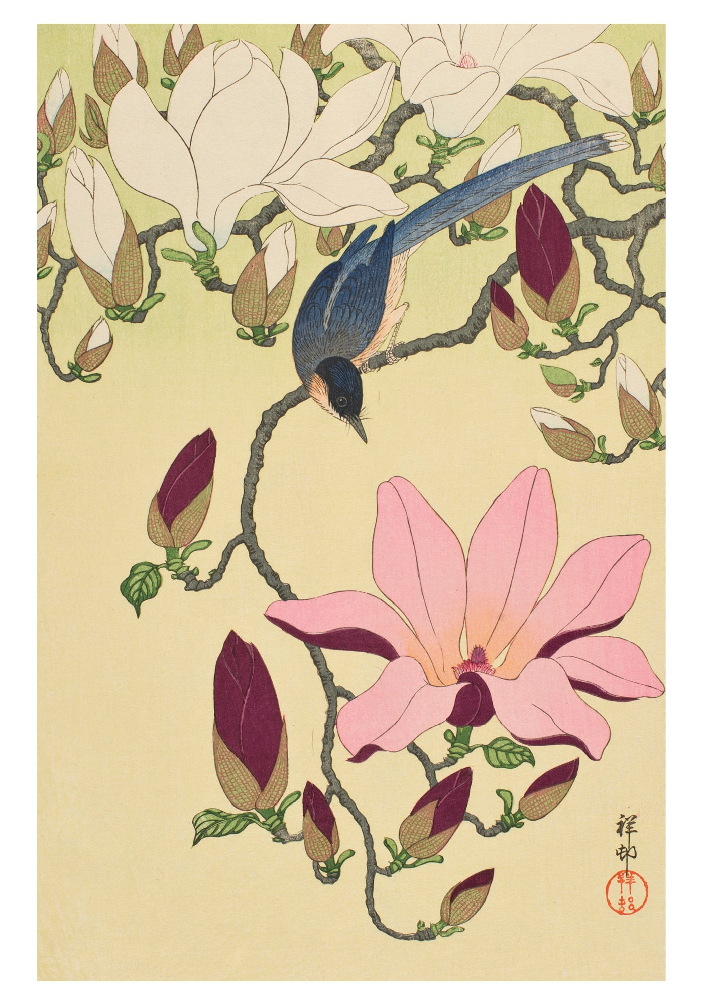 Ohara Shōson: Magnolia and Magpie Small Boxed Cards_Interior_1