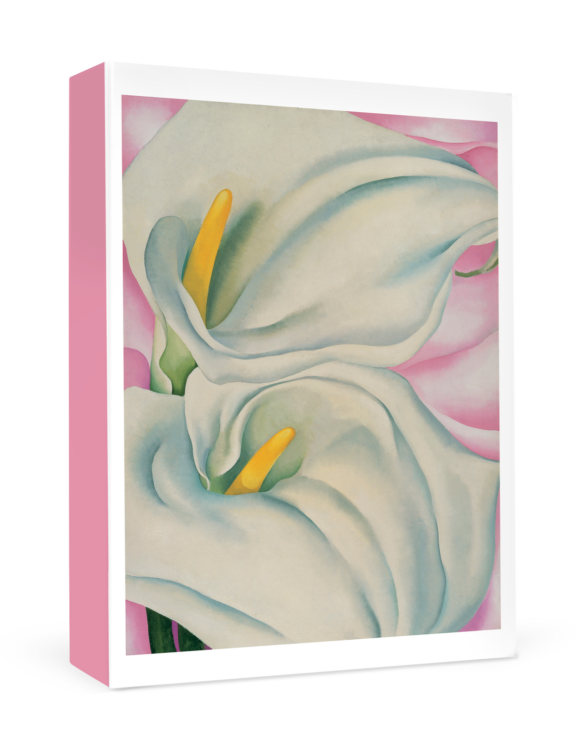 Georgia O’Keeffe: Two Calla Lilies on Pink Small Boxed Cards