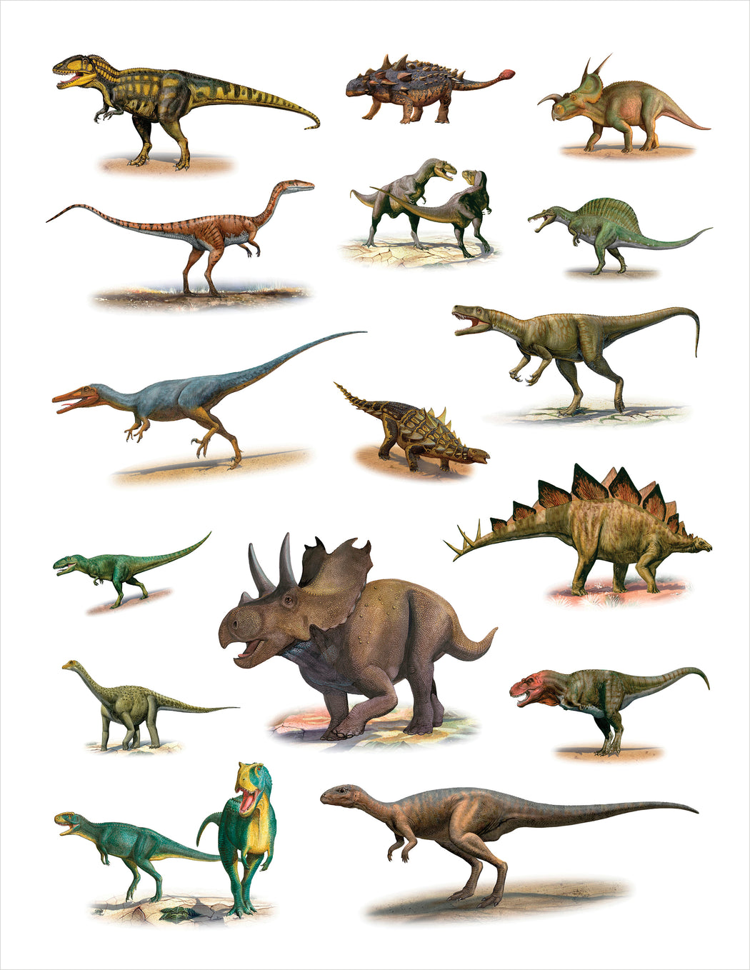 Dinosaurs Sticker Book: Sergey Krasovskiy: 9780764981340: : Books
